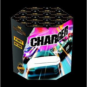 Charger - SOLD OUT